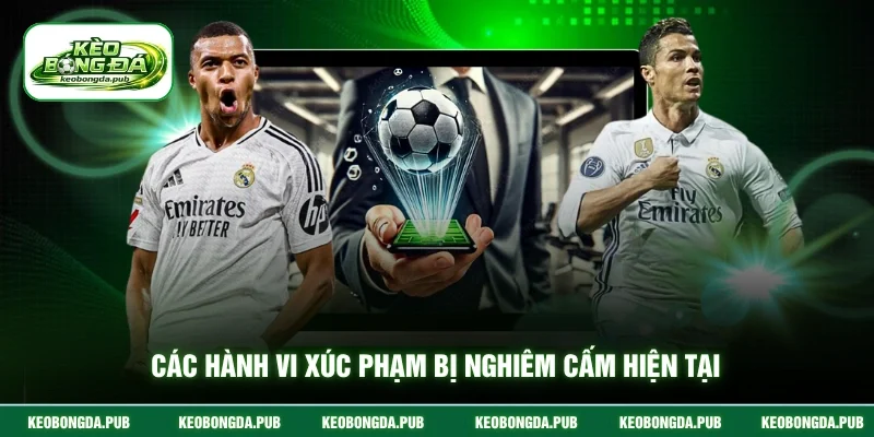 Các hành vi xúc phạm bị nghiêm cấm hiện tại