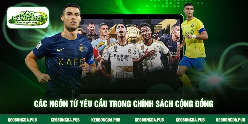 Các ngôn từ yêu cầu trong chính sách cộng đồng