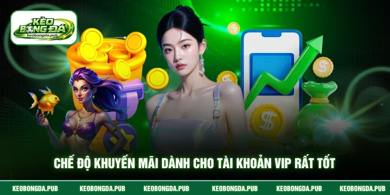 Chế độ khuyến mãi dành cho tài khoản VIP rất tốt