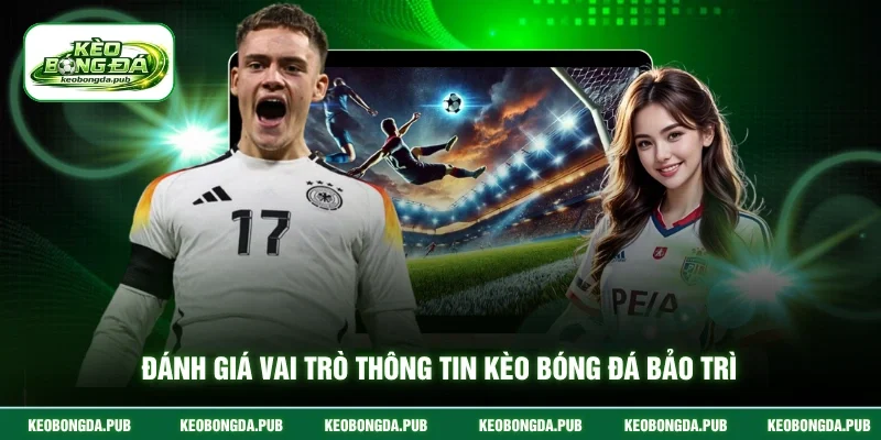 Đánh giá vai trò thông tin kèo bóng đá bảo trì