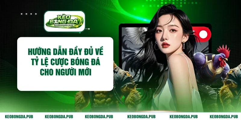 Hướng dẫn đầy đủ về tỷ lệ cược