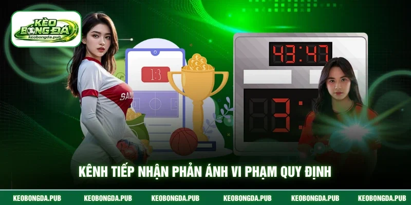Kênh tiếp nhận phản ánh vi phạm quy định