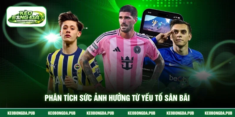 Phân tích sức ảnh hưởng từ yếu tố sân bãi