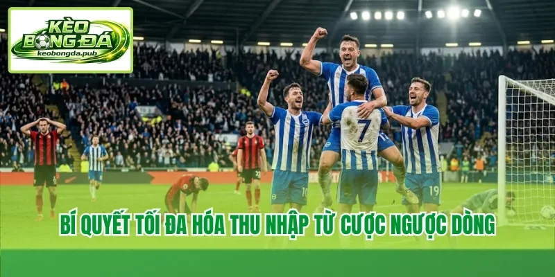 Bí quyết tối đa hóa thu nhập từ cược ngược dòng