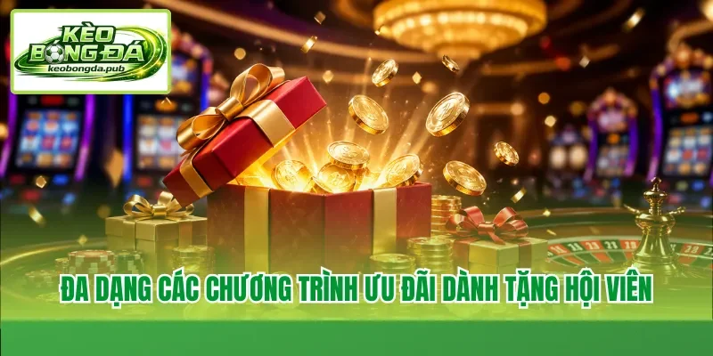 Đa dạng các chương trình ưu đãi dành tặng hội viên