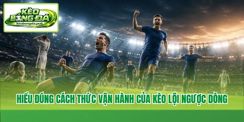 Hiểu đúng cách thức vận hành của kèo lội ngược dòng