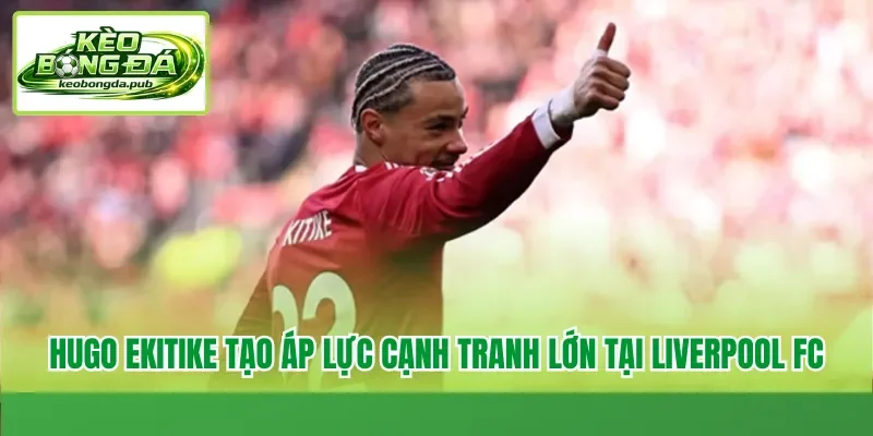 Hugo Ekitike tạo áp lực cạnh tranh lớn tại Liverpool FC