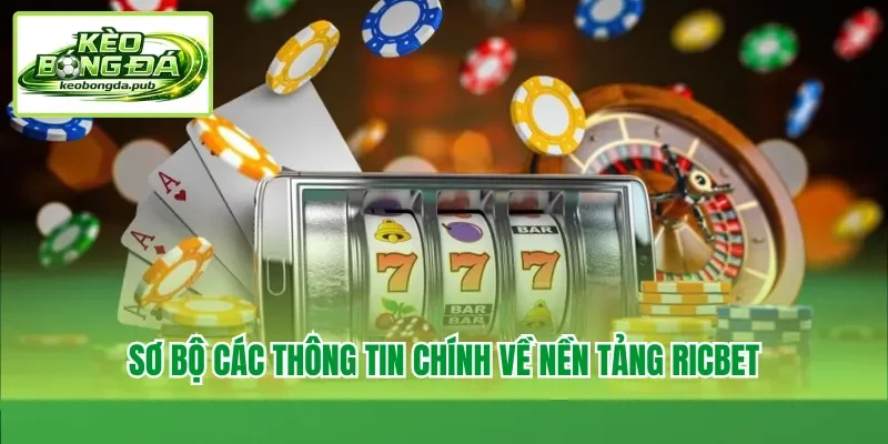 Sơ bộ các thông tin chính về nền tảng Ricbet