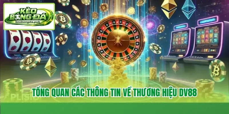 Tổng quan các thông tin về thương hiệu DV88